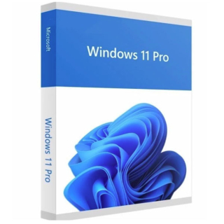 Microsoft Windows 11 Professional (ESD)